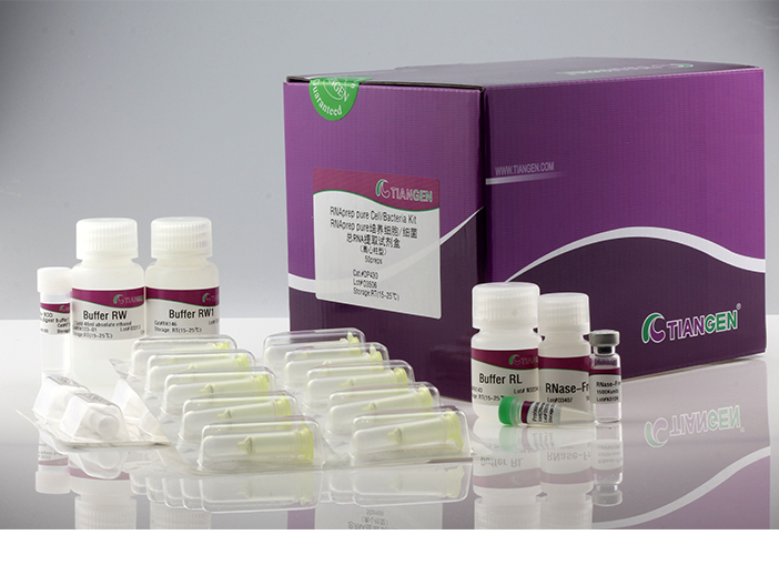 天根 RNAprep Pure 培养细胞 / 细菌总 RNA 提取试剂盒(DP430)