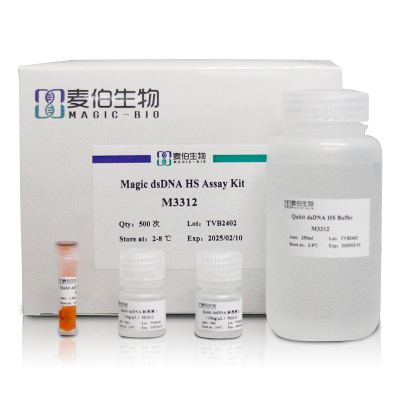 Magic dsDNA HS Assay Kit