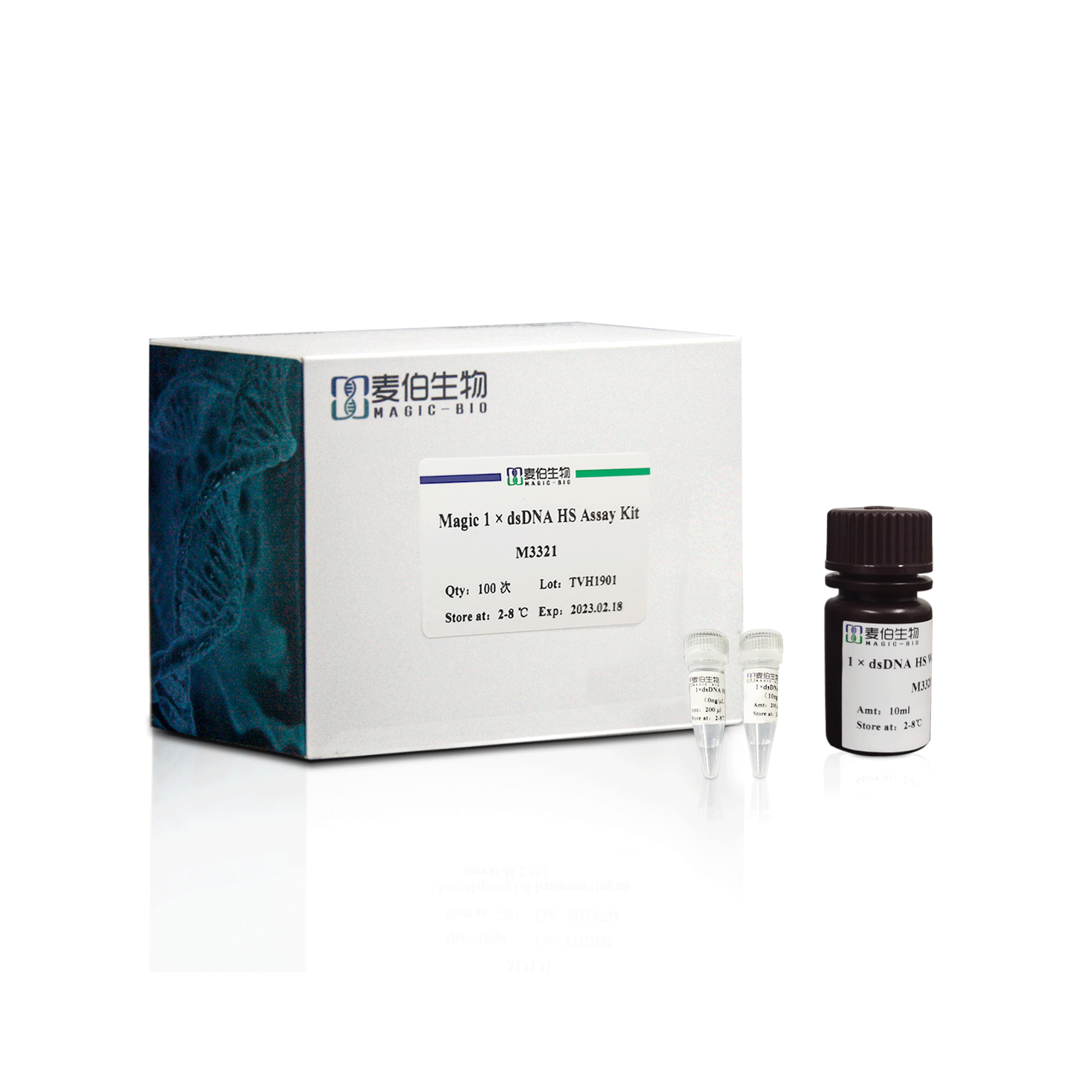 Magic 1× dsDNA HS Assay Kit