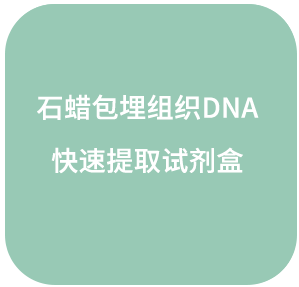 天根 石蜡包埋组织DNA快速提取试剂盒(DP330)