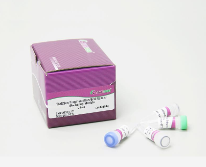 TIANSeq直接快速DNA文库构建试剂盒（IIIumina）（NG101）