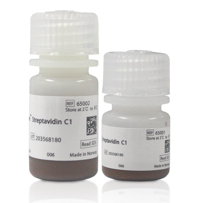Invitrogen Dynabeads MyOne Streptavidin C1链霉亲和素磁珠