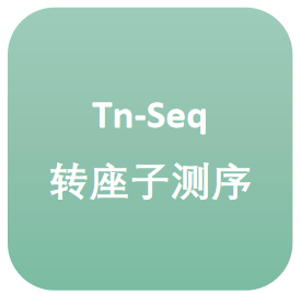 Tn-seq转座子测序技术服务