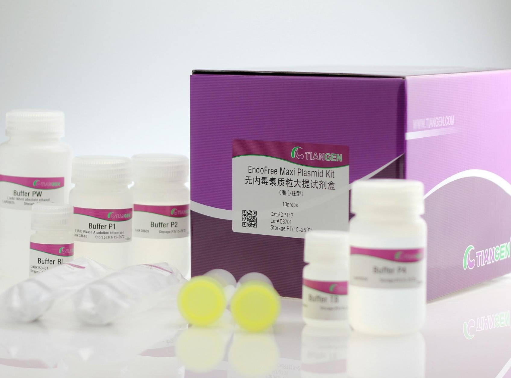 无内毒素质粒大提试剂盒(DP117)