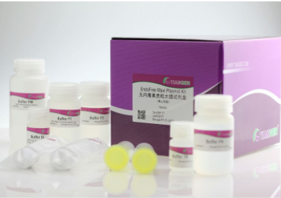 无内毒素质粒大提试剂盒（增强型） DP120-01