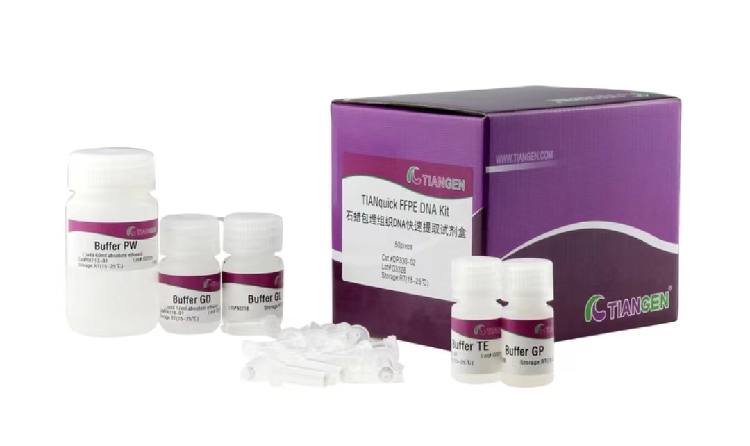 石蜡包埋组织 DNA 提取试剂盒(DP340)