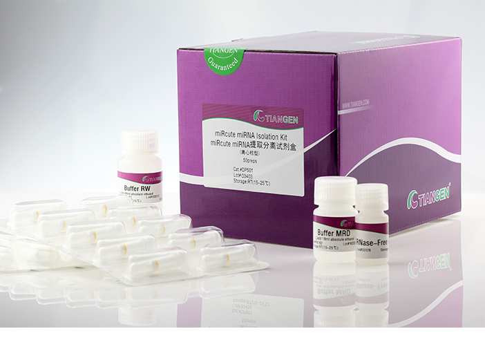 miRcute miRNA提取分离试剂盒（DP501）
