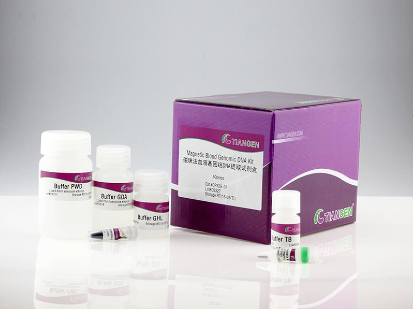 天根 增强型磁珠法大体积游离核酸提取试剂盒(DP720-01)