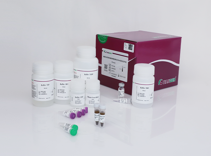 磁珠法高效多糖多酚植物总RNA提取试剂盒（DP772）