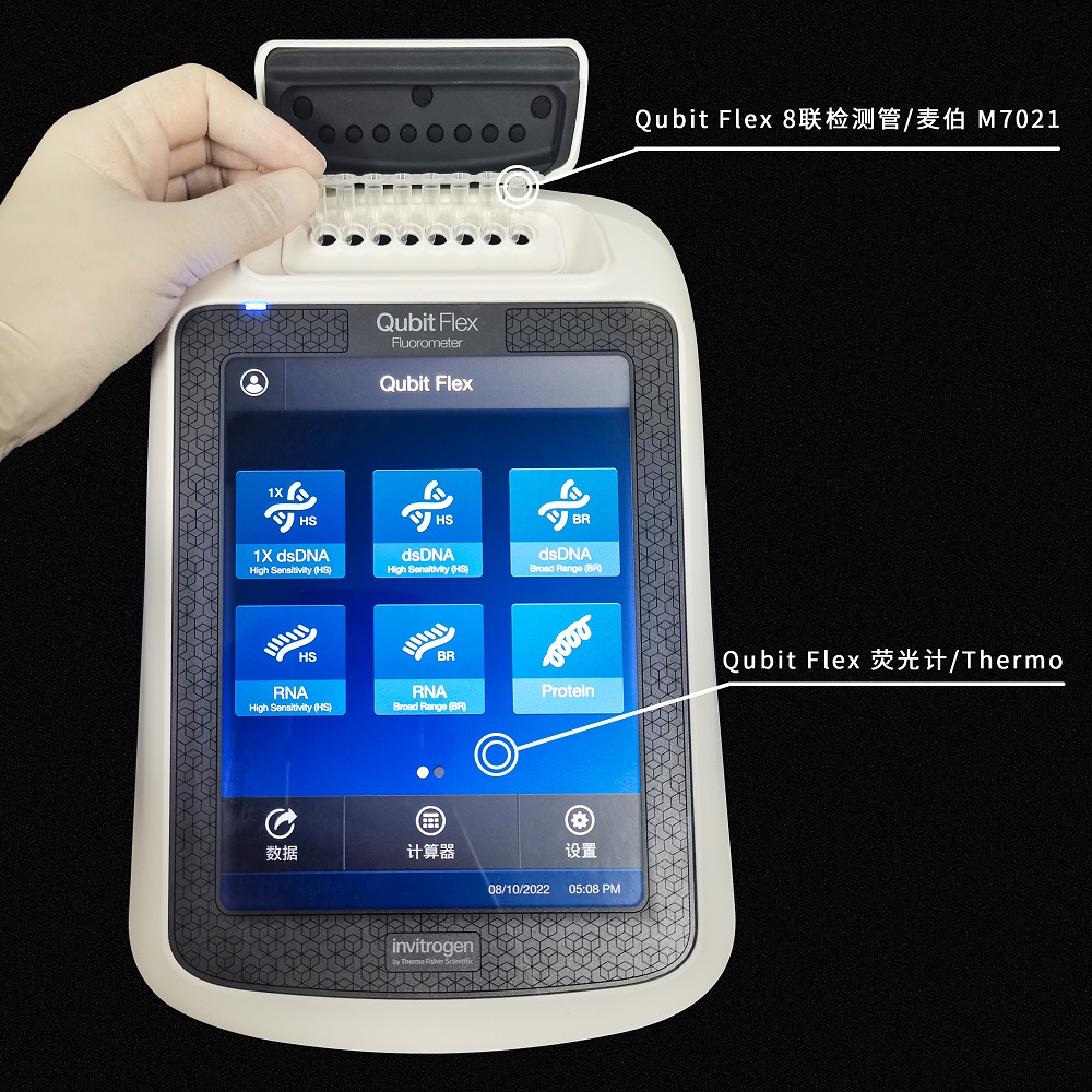 Qubit Flex 8联检测管