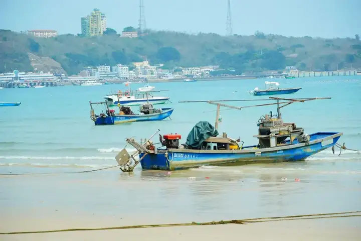 聚力沃森，同心致远 | 解锁涠洲岛的春日限定快乐！