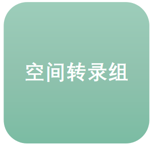 空间转录组