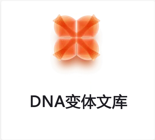 TWIST DNA变体文库