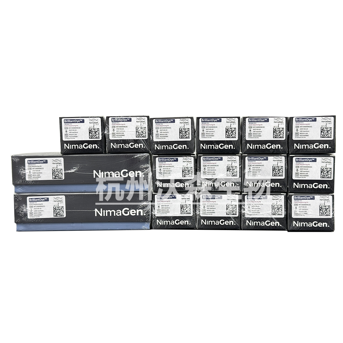 Sanger测序与片段分析解决方案-NimaGen