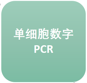 单细胞数字PCR