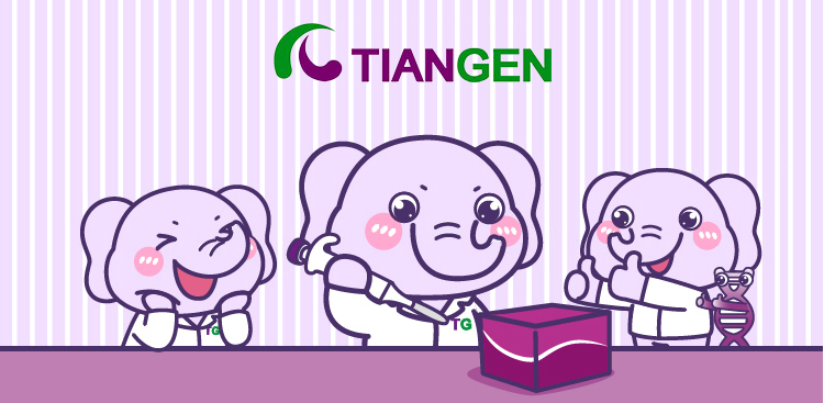 如何从肿瘤样本中高效提取游离DNA？