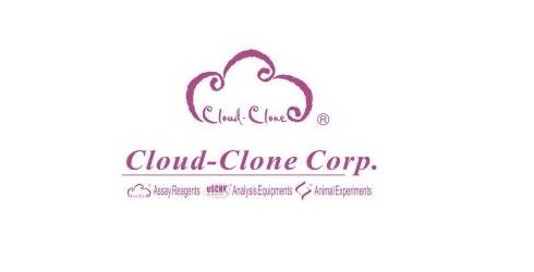 武汉云克隆科技股份有限公司
